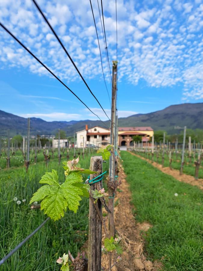 Posestvo Rouna - Winery And Apartments วิพาวา ภายนอก รูปภาพ