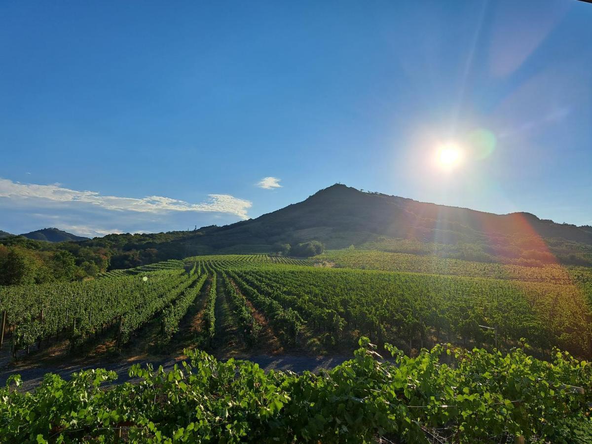 Posestvo Rouna - Winery And Apartments วิพาวา ภายนอก รูปภาพ